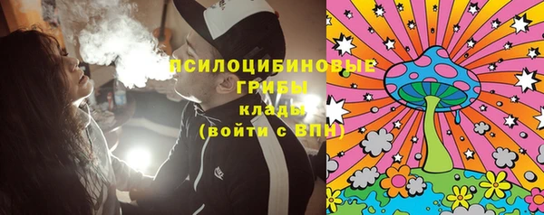спиды Арсеньев